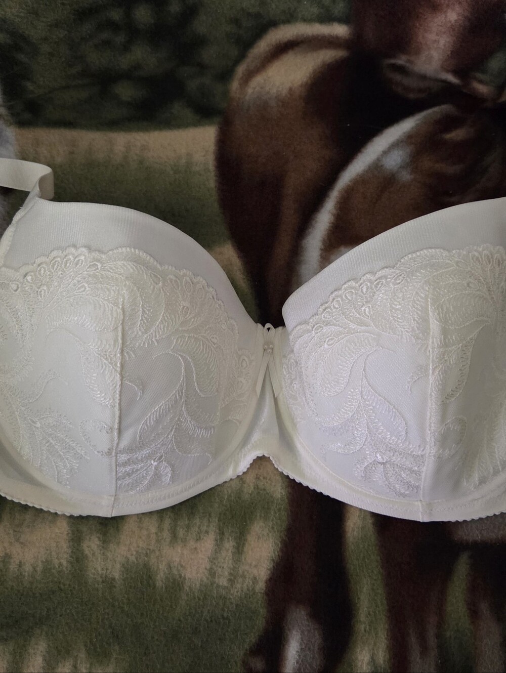 Wacoal Bra 36D New